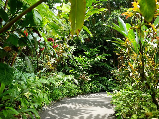 הגן הבוטני – הפלא הירוק של ירושלים