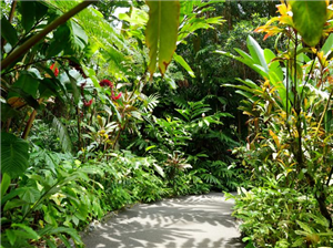 הגן הבוטני – הפלא הירוק של ירושלים